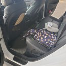 제일손세차장 이미지