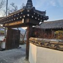 [경주] &#39;료미&#39; 내돈내먹 후기/황리단길 애견동반 맛집/전통한옥 야외마루에서 강아지랑