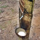 들길농장 이미지