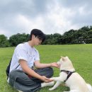 오유알디자인 이미지