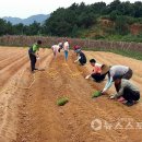 이병도농장 이미지