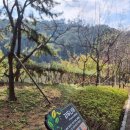 사라수변공원입구 이미지