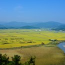 태백산맥 - 서대문구 명물길 46-5 | 태백산맥