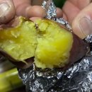 하동하늘숲캠핑장 이미지