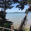 위드오션2 이미지