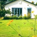 애월 하루 이미지