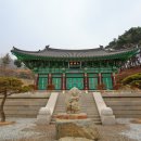 산수유 둘레길 이미지