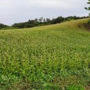 서귀포지방법원 이미지