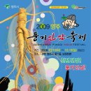 풍기인삼 Daum카페