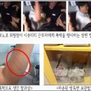 우정합동법률사무소 데일리안