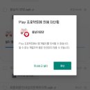 봄날의댕댕