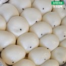 궁잔기지떡 - 수원시 팔달구 수성로157번길 23 | 동해시 답례품으로 좋은 기정떡 궁잔기지떡 솔직후기 보관방법