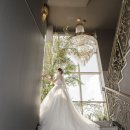 초이로움 이미지