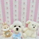 아멍띠에 이미지