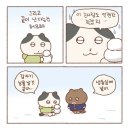 24년 11월 일상