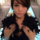 유니스텔라