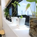 더수학더과학학원 | 더오름 영어수학 학원과 다산동과학의 색다른 조합으로 중고등부 성적 상승을!