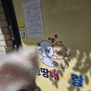 멍땅내사랑 애견유치원 애견호텔 이미지