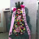 장모사랑 이미지