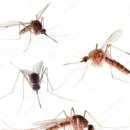 시골얼큰이추어탕 | [천안성정동 엄가네뼈해장국] 간판만봐도 알수있는 오래된 뼈 해장국집 천안사람이면 다 아는곳...