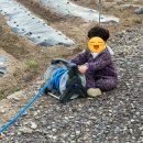 꼬마꼬꼬 - 철원군 금학로210번길 4-5 | 꼬마티라노 농촌일기 ㅣ유치원생 농촌체험 후기(고사리 꺾기·상추 따기·닭장 체험까지)