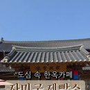 자미애견 이미지