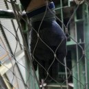 대구축협사료공장 | 대구축협 사료공장 사이로에 추락방지망 설치