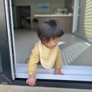 트리풀하우스 | 포천 가볼만한곳 아이랑 함께한 포천 트리풀하우스 키즈풀빌라 여행 후기