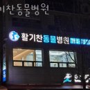 활기찬동물병원 이미지