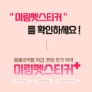 보룡동물약국 이미지