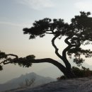 에덴동산