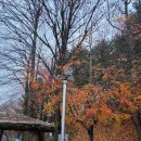 조산공원길 이미지