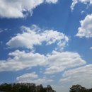 산의농장 이미지