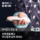 릴리네 애견미용실 이미지