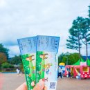 반디랜드 곤충박물관 전시실 이미지