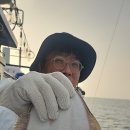 참가자미 이미지