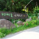 편백자연휴양림 이미지