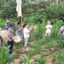 얼쑤농장 이미지