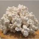 수산과학관 이미지