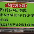 명물육개장 이미지