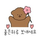 그레이스그래니(gracegranny) 이미지