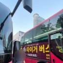 서울시티투어버스 야경투어 내돈내산 후기 - 한강.. 남산타워 보면 다 봤잖아요...