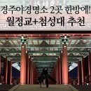 경주 월정교 야경 + 첨성대 미디어아트 후기 아이랑 경주 야간 나들이 꿀팁 총정리 (주차·동선·복장...