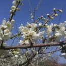 미림농장 이미지