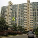 풍덕천로30번길 Daum카페