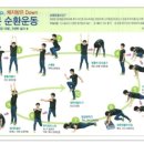 30분 순환운동 티스토리