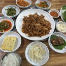 제주통도야지 이미지