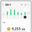 포항스파이더클럽 이미지