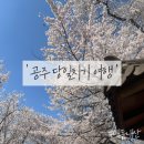 ㈜금강고속관광 | 벚꽃 명소[공주]당일치기 국내 여행 1편ㅣ맛집, 여행코스 추천, 무료주차장 안내