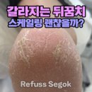 레푸스강남세곡점 이미지